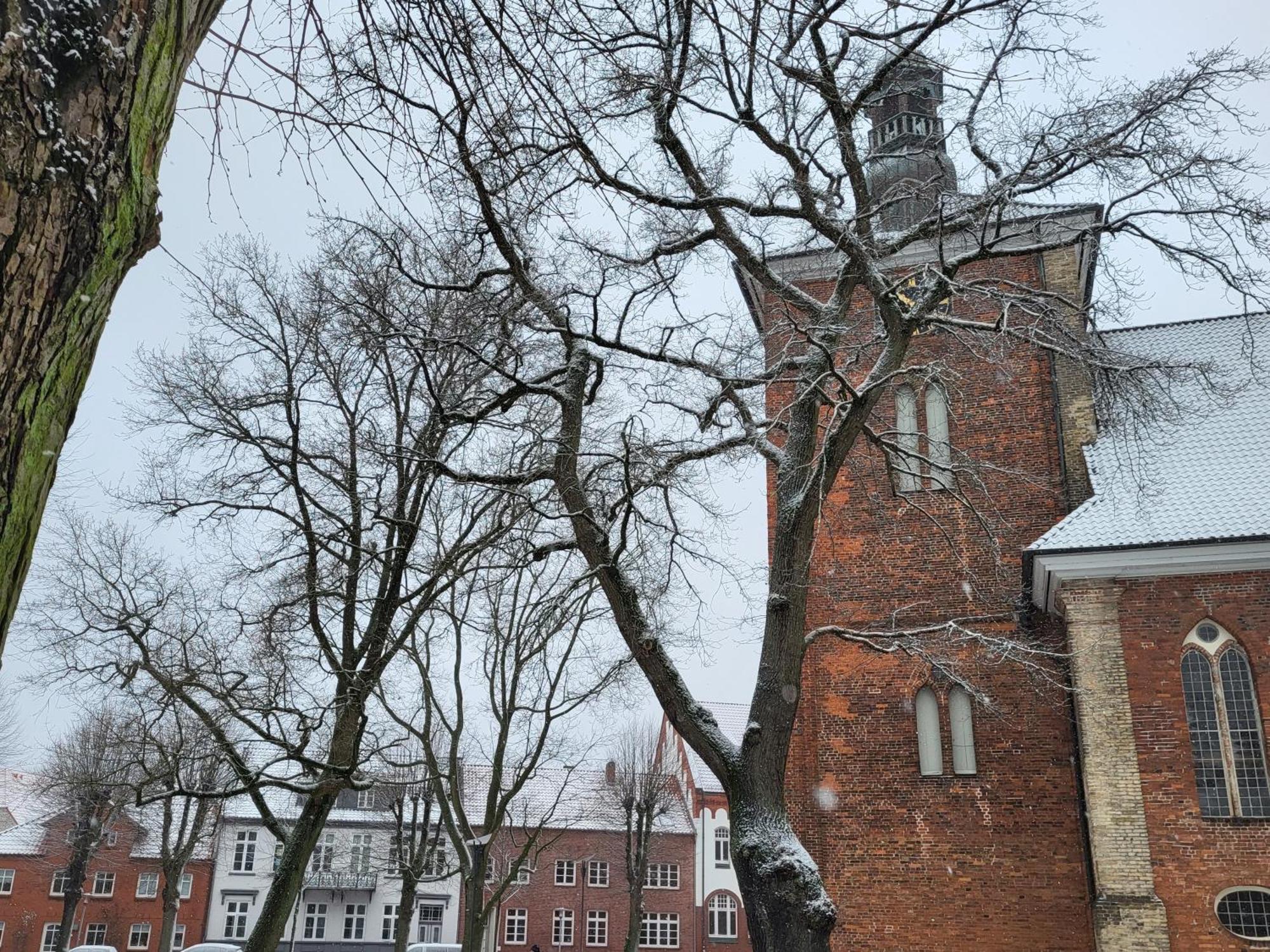 Haus Theda Villa Fockbek Bagian luar foto