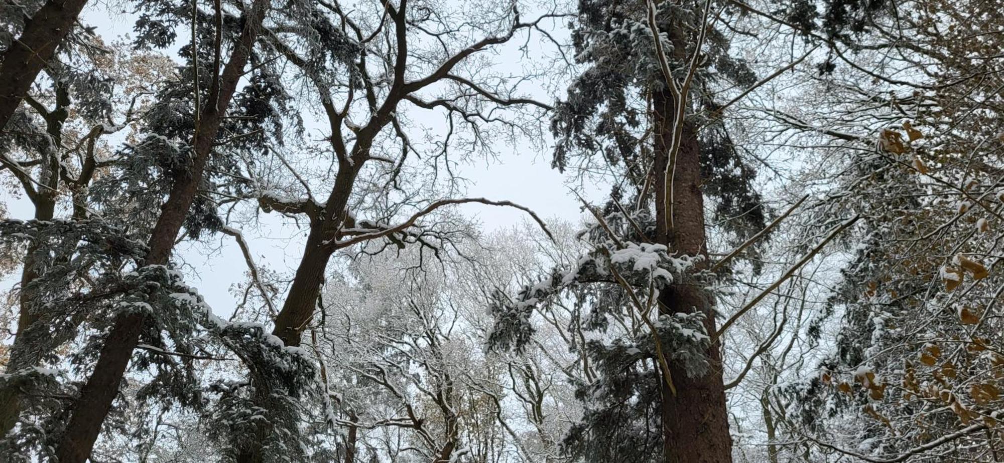 Haus Theda Villa Fockbek Bagian luar foto